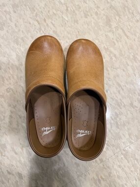 Dansko Professional Clogs